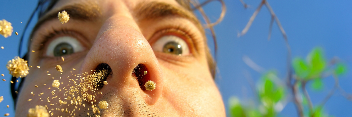 featured allergy article